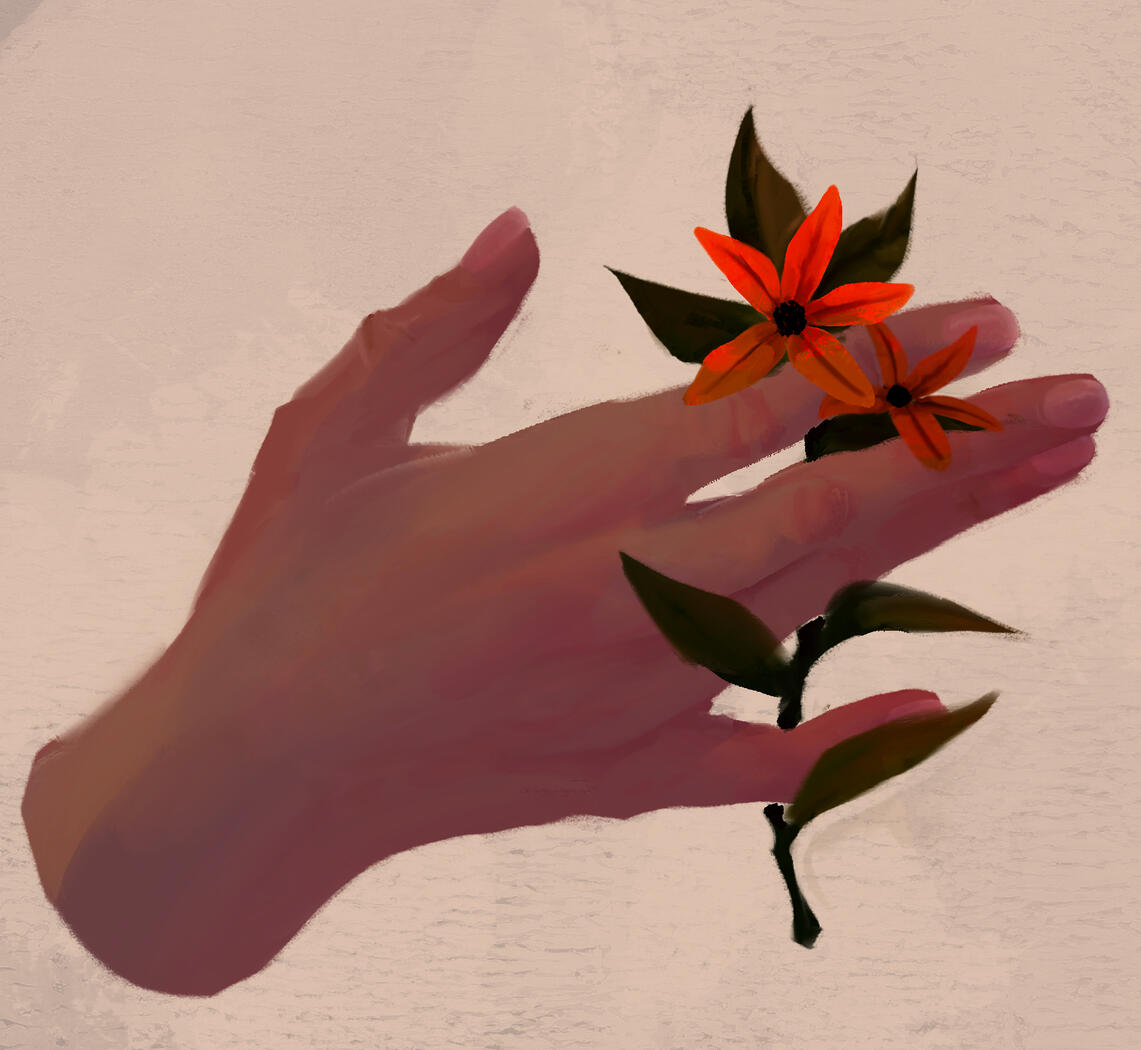 Study, Procreate, 2024